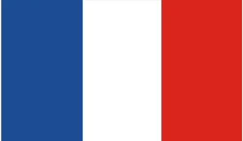 Flag 7