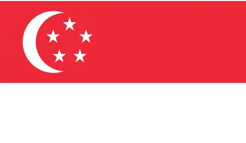 Flag 9