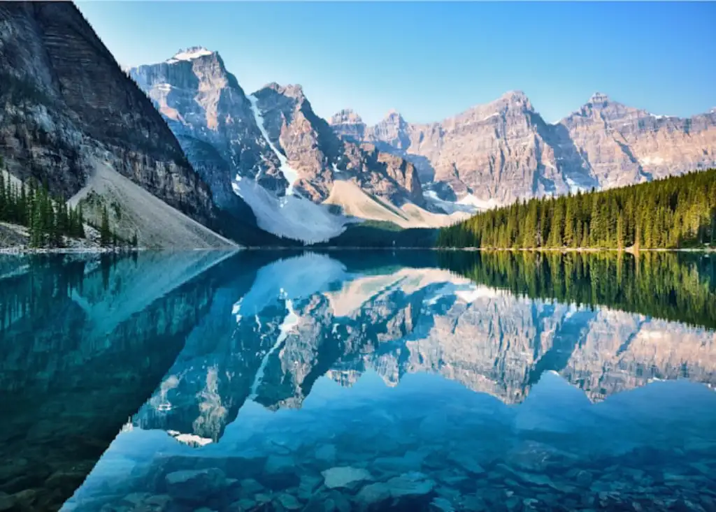 The Canada MSP Market