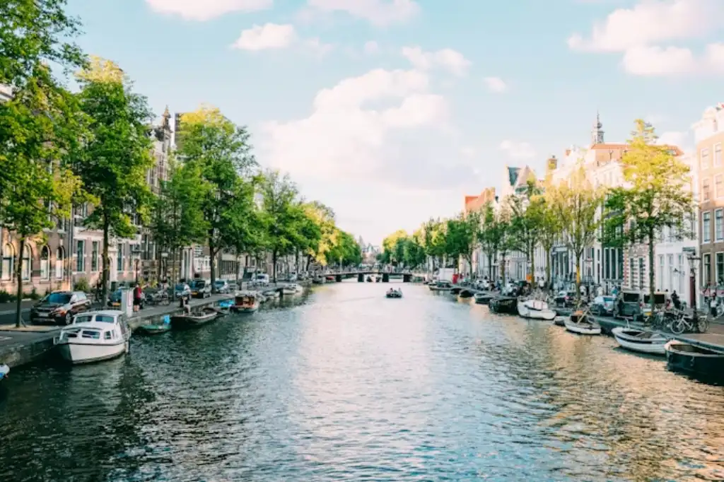 The Netherlands MSP Market