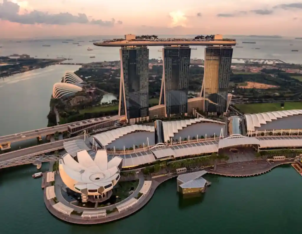The Singapore MSP Market
