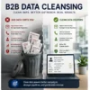 B2B DATA CLEANSING