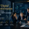 ERP Consultant